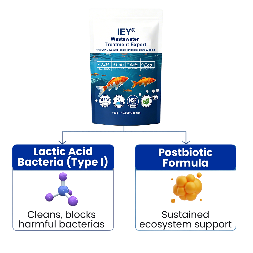 🎉 Congratulations! Add another IEY® Aqua-Guardian Pro Formula and get 30% OFF your second item! 🌊✨🔥