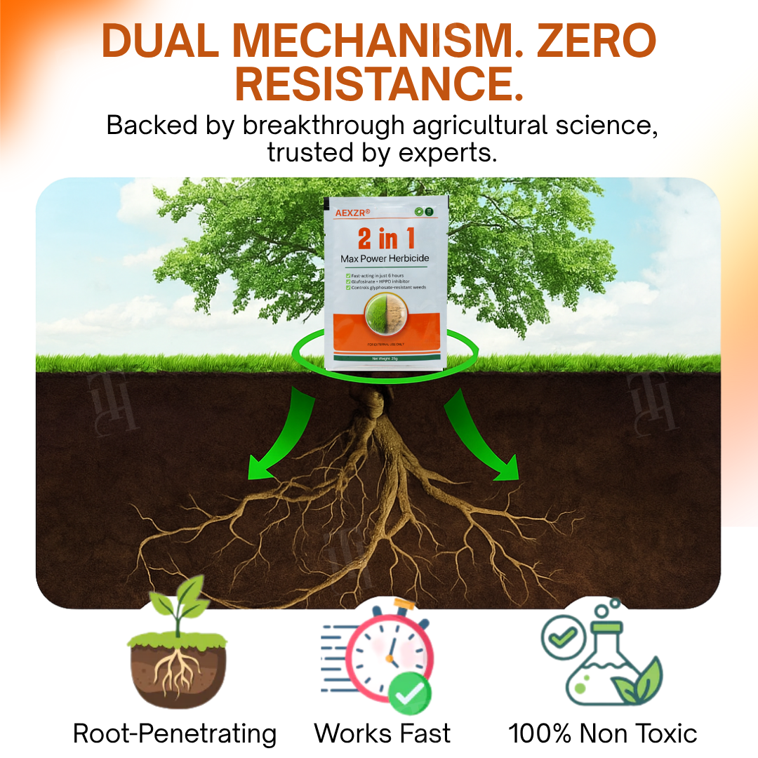 Lіmіtеd 5mіn flаѕh ѕаlе! ⏳Аdd а ѕесоnd 𝐀𝐄𝐗𝐙𝐑® 2-in-1 Max Power Herbicide аnd еnjоу аn ехtrа 30% ОFF.