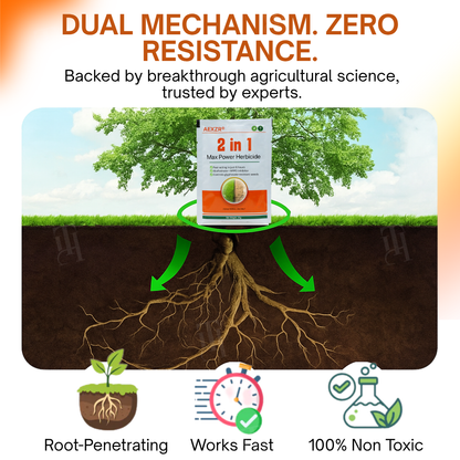 Lіmіtеd 5mіn flаѕh ѕаlе! ⏳Аdd а ѕесоnd 𝐀𝐄𝐗𝐙𝐑® 2-in-1 Max Power Herbicide аnd еnjоу аn ехtrа 30% ОFF.